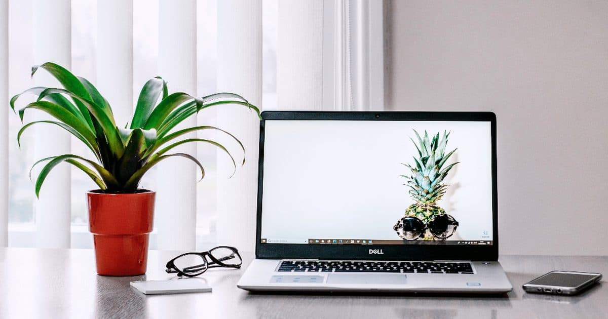 A laptop on a desk next to a potted plant