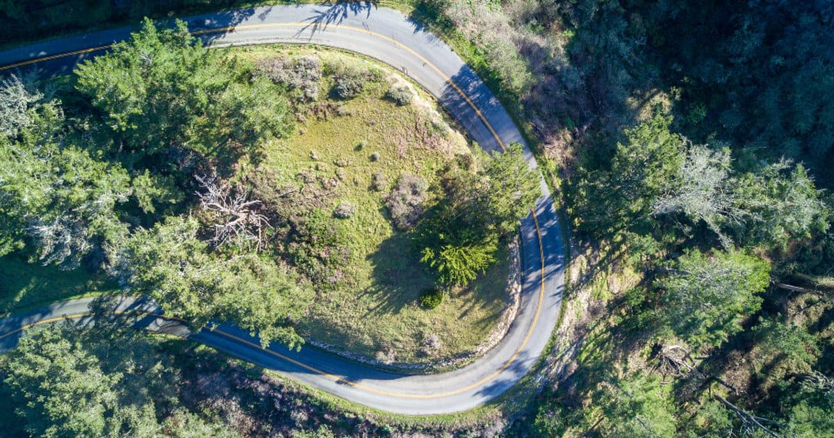 Aerial view of a winding road through trees