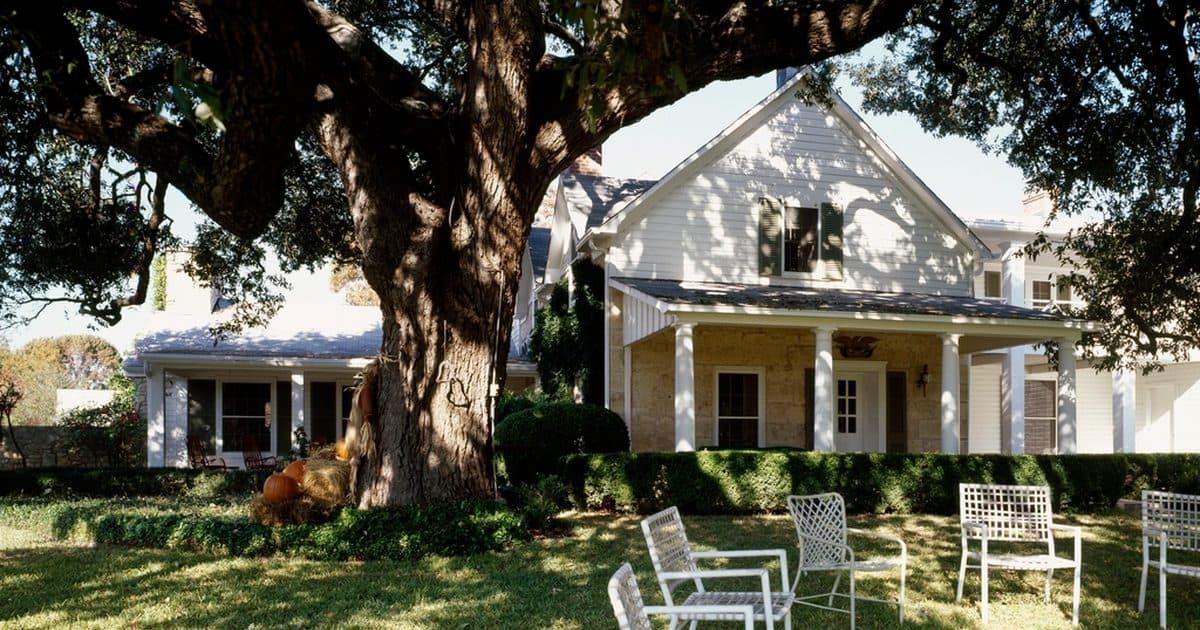 A white farmhouse under a large oak tree at the LBJ Ranch in Texas